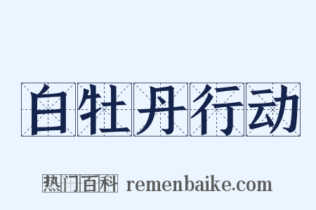 白牡丹行动是什么意思的图片